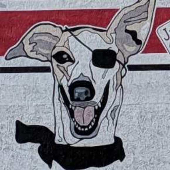 Meet your Posher, Nancy - Picture 1 of 1